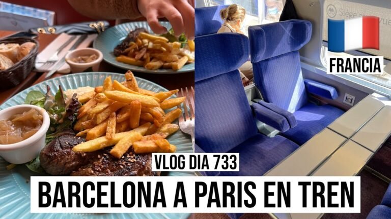 Dónde encontrar ofertas de tren de Barcelona a París
