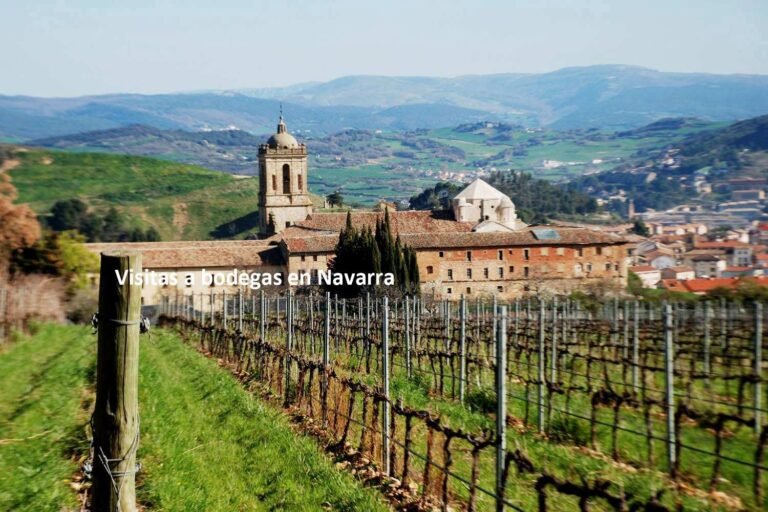 Cuáles son las mejores bodegas de Navarra para visitar