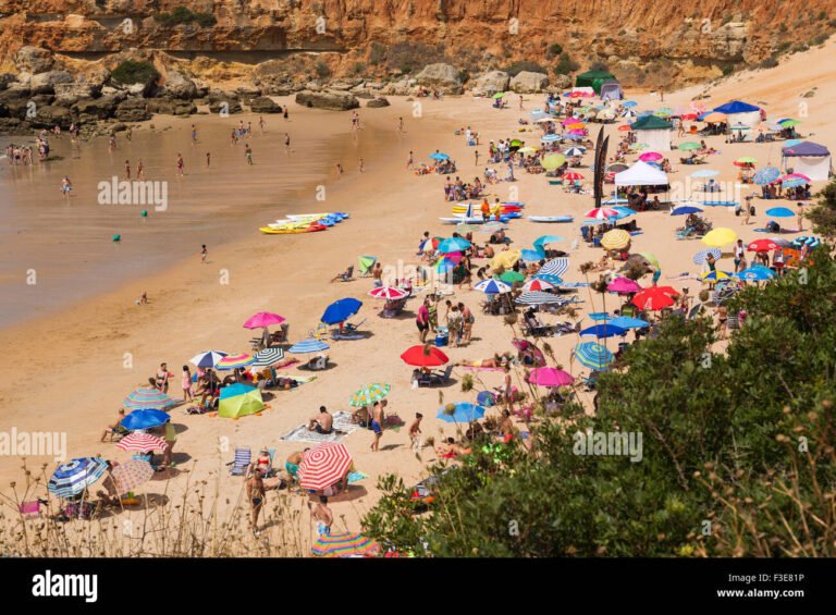 Dónde se encuentra el camping Cala del Aceite en Conil