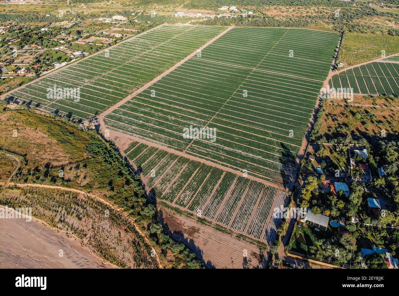vista aerea de ejido norte
