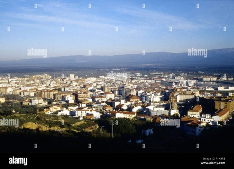 Dónde se encuentra la residencia San Miguel en Navalmoral de la Mata
