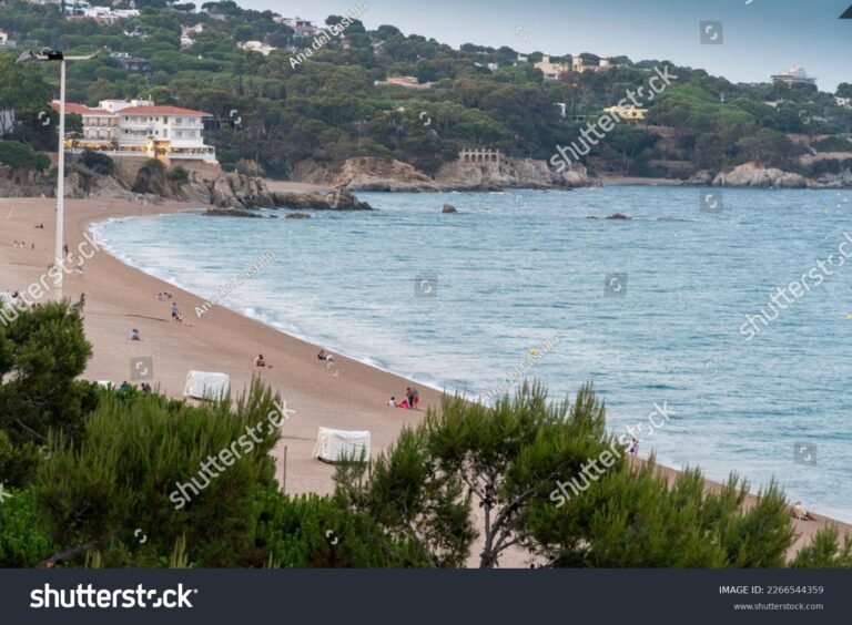 Dónde se encuentra el camping Delfín Verde en Platja d’Aro