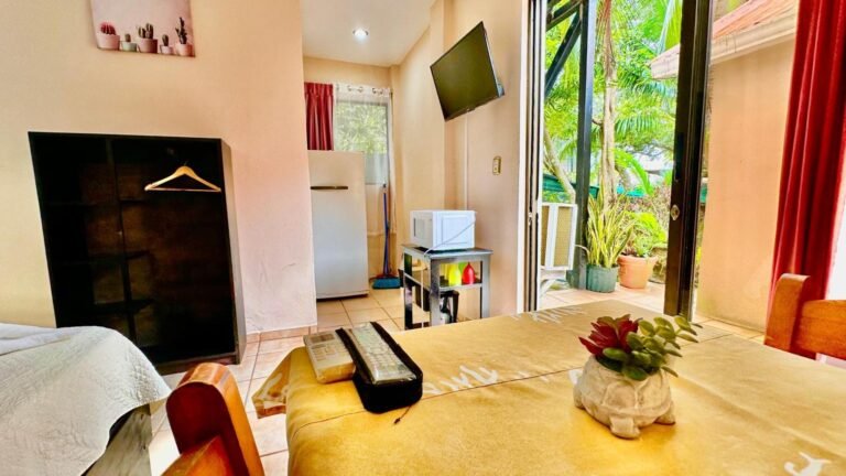 Dónde encontrar los mejores hostales en San José, Costa Rica