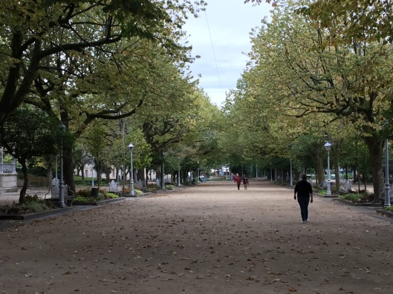 Dónde se encuentra la Casa Grande do Bachao en Galicia