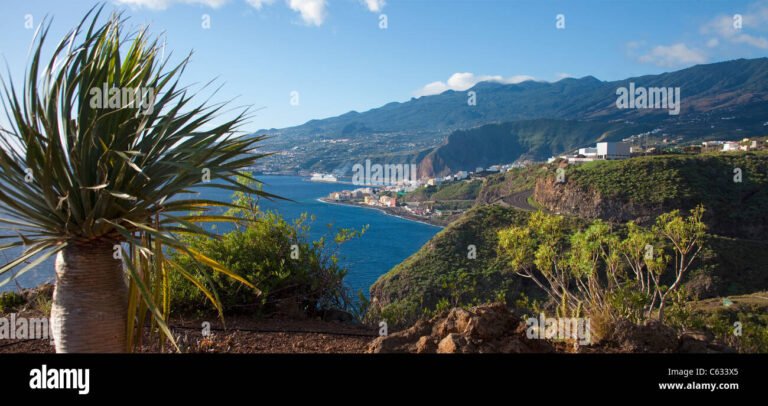 Dónde se encuentra el hotel Teneguía Princess en La Palma