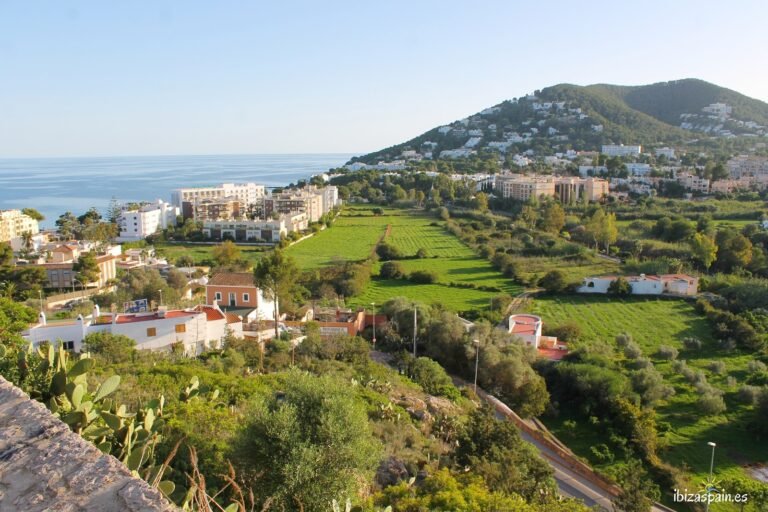 Cuáles son los mejores restaurantes en Santa Eulalia, Ibiza