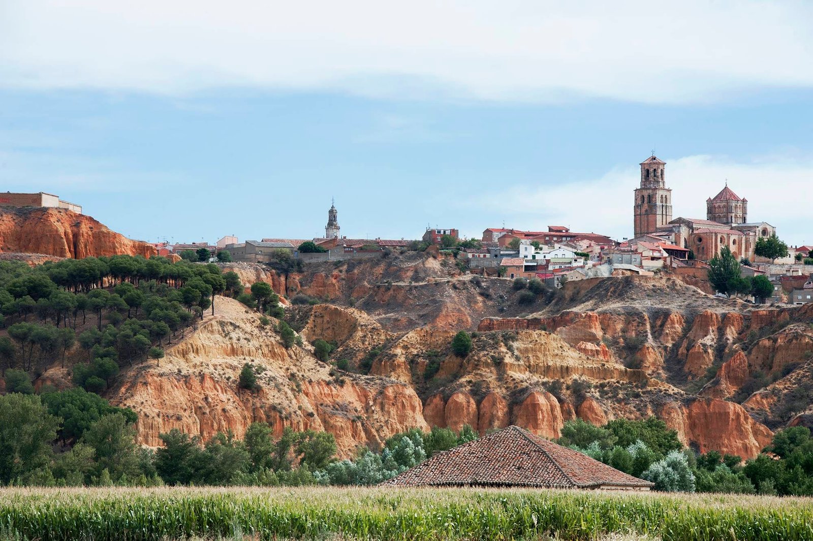 vista panoramica de toro zamora