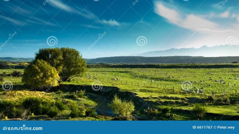 Dónde encontrar La Bárcena: apartamentos rurales y spa