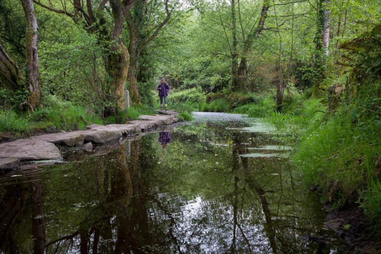 Cuál es la dificultad del Camino de Santiago desde Sarria