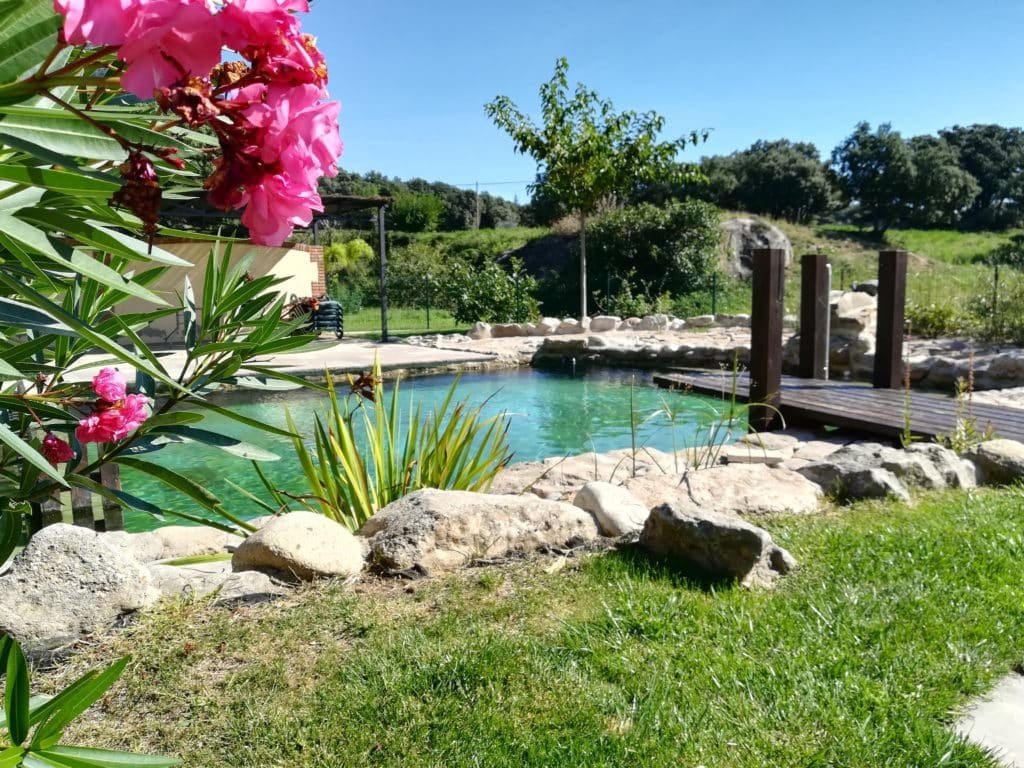 casa rural con piscina en la naturaleza