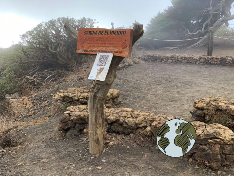 Dónde alquilar un coche en El Hierro: Guía completa