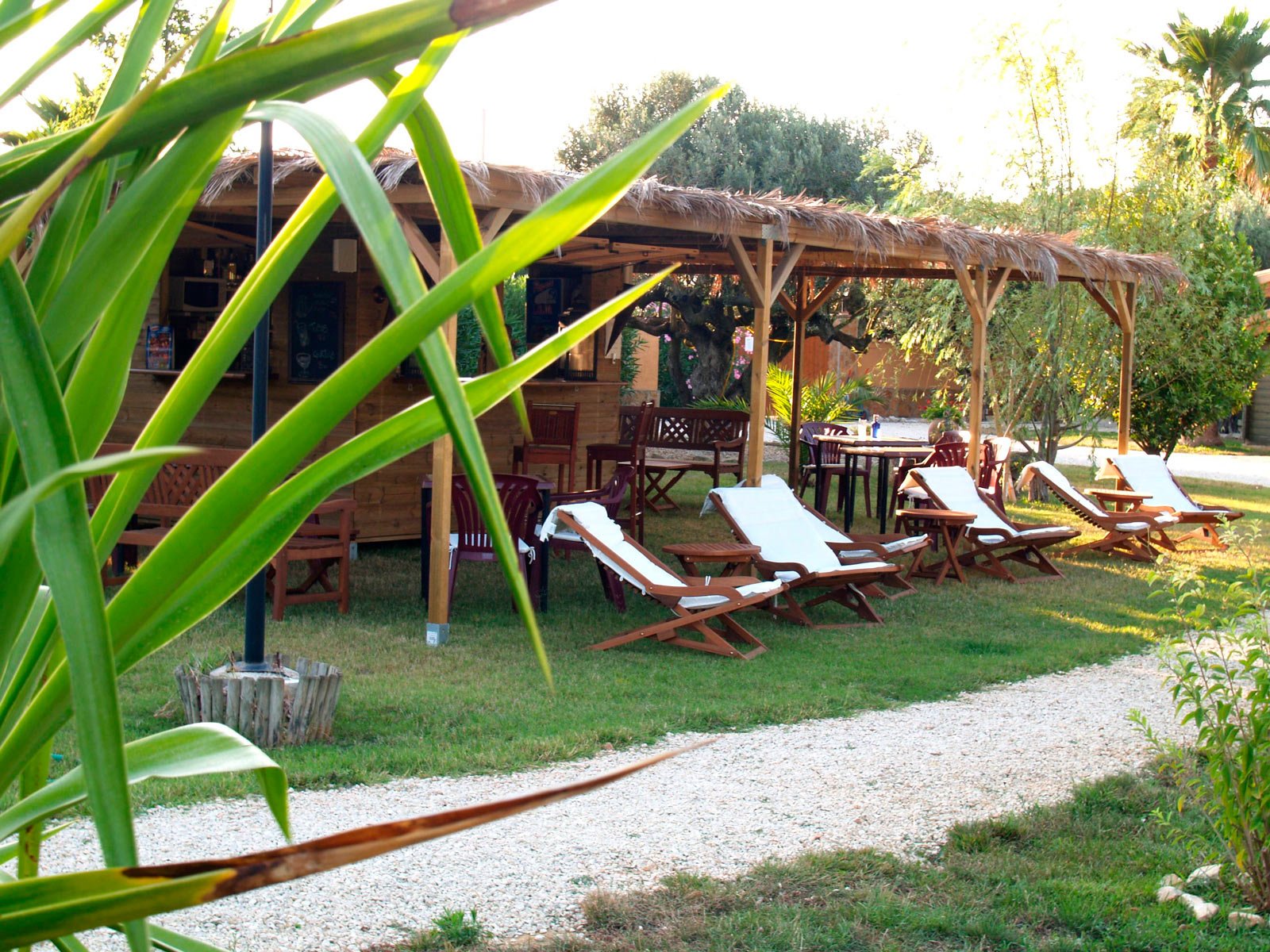 complejo rural entre olivos centenarios