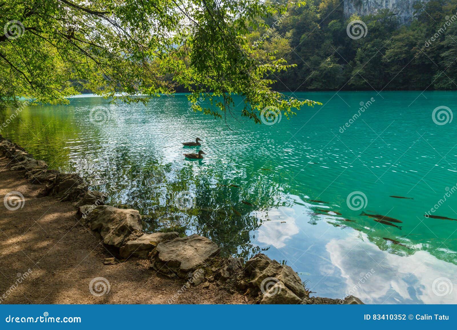 lagos de plitvice en un dia soleado