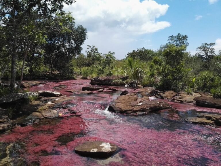 Dónde encontrar el mejor camping en San José Los Caños