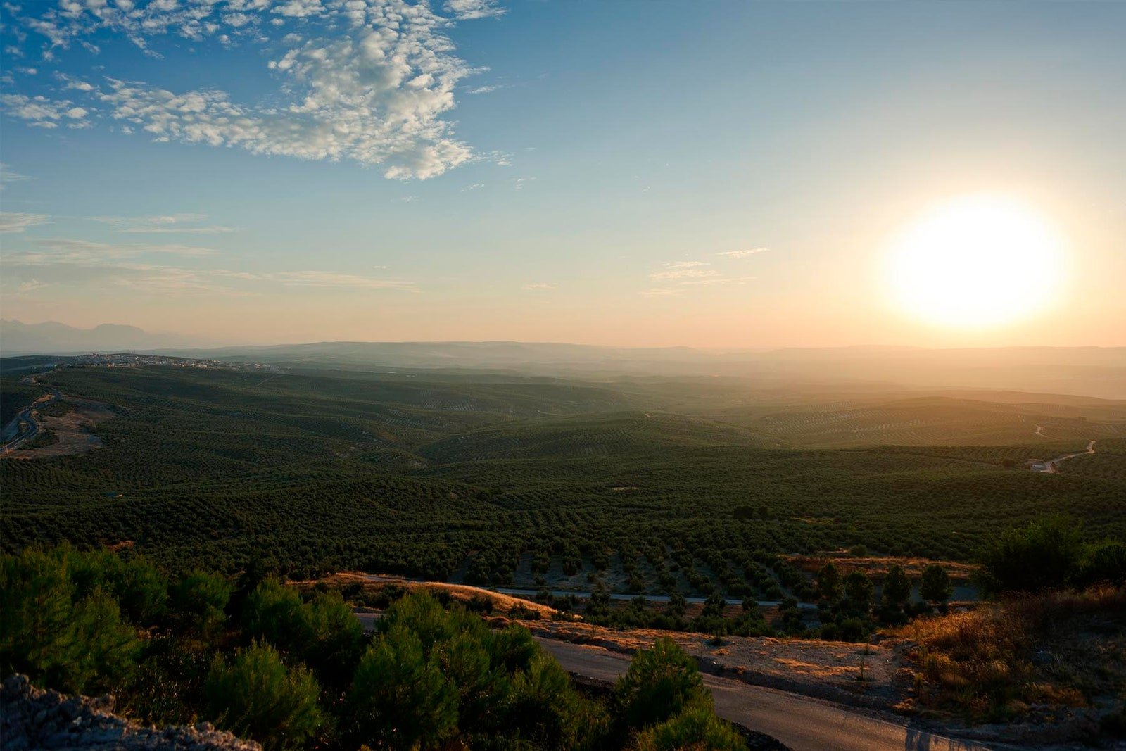 paisaje de ubeda y baeza al atardecer
