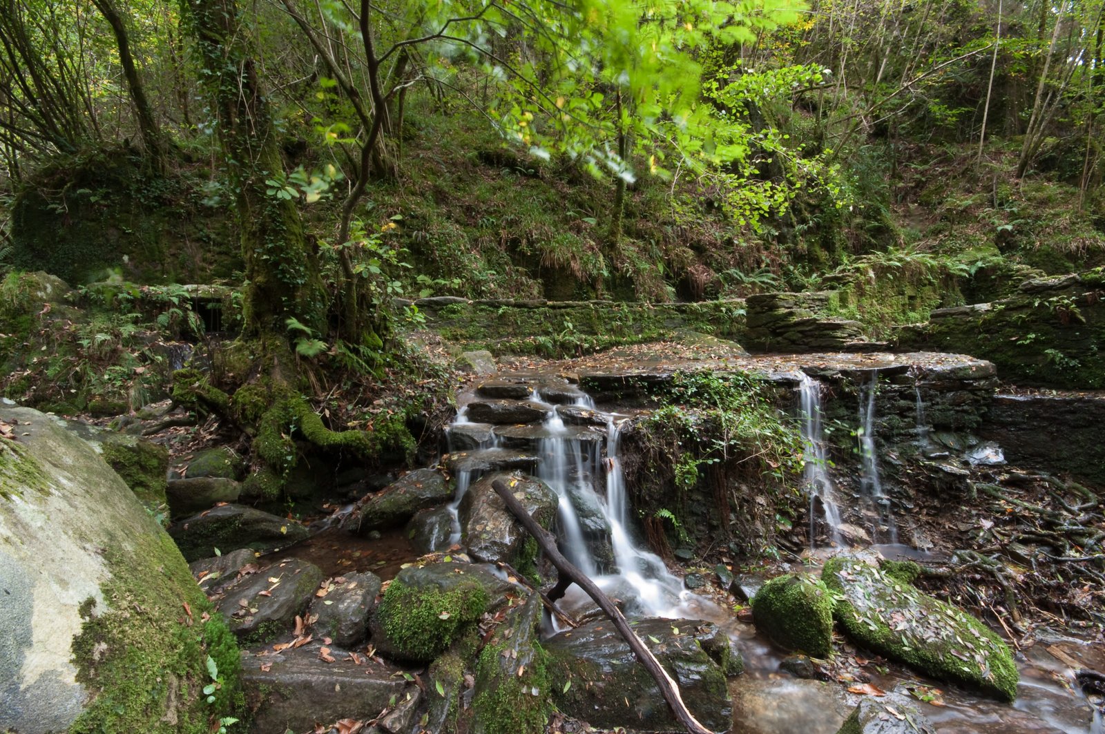 paisaje del camino de santiago en galicia scaled