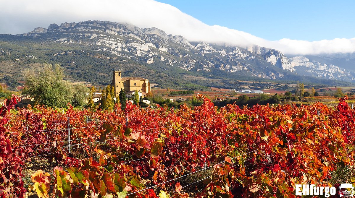 paisaje vinicola de haro en otono