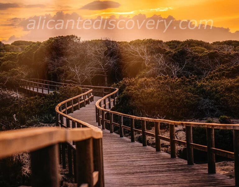 Dónde encontrar apartamentos en Guardamar del Segura