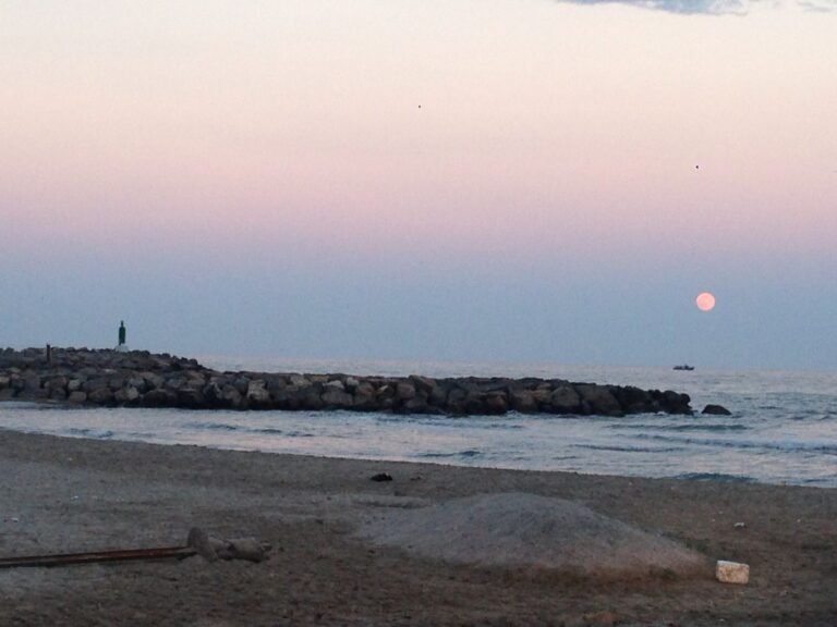 Dónde encontrar pisos en venta en Puerto de Sagunto