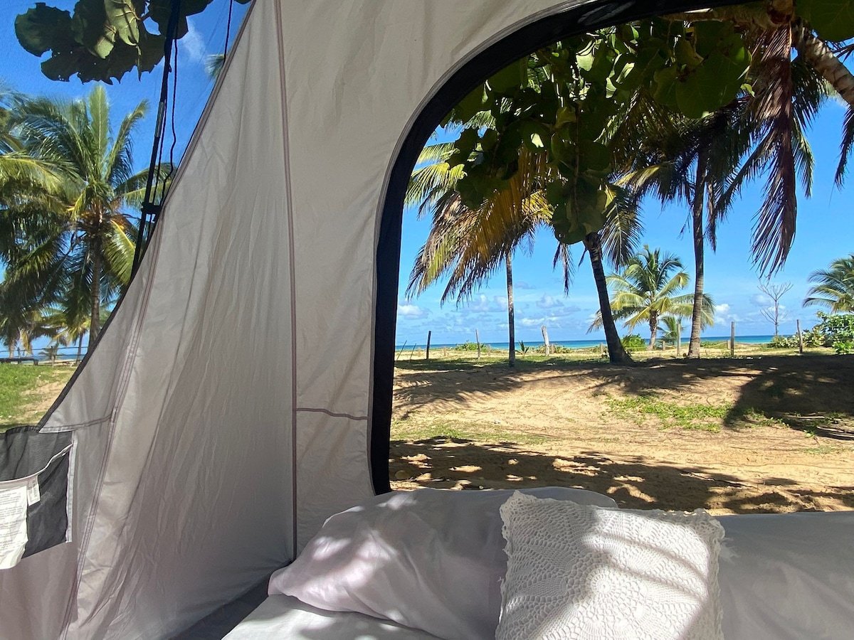 playa tranquila con carpas y naturaleza