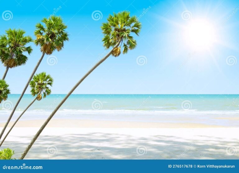 Dónde se encuentra el Hotel Barceló Isla Canela