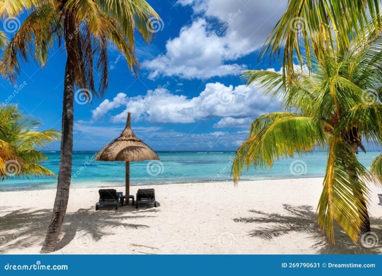 Dónde se encuentra el Catalonia Bavaro Beach Golf & Casino Resort