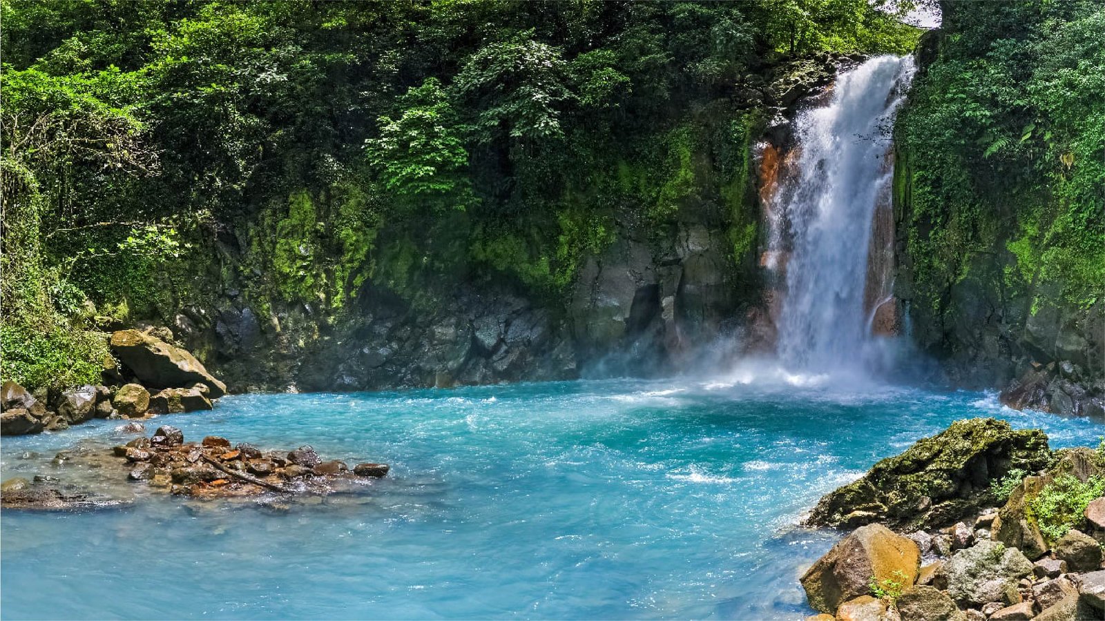rio celeste en la selva costarricense