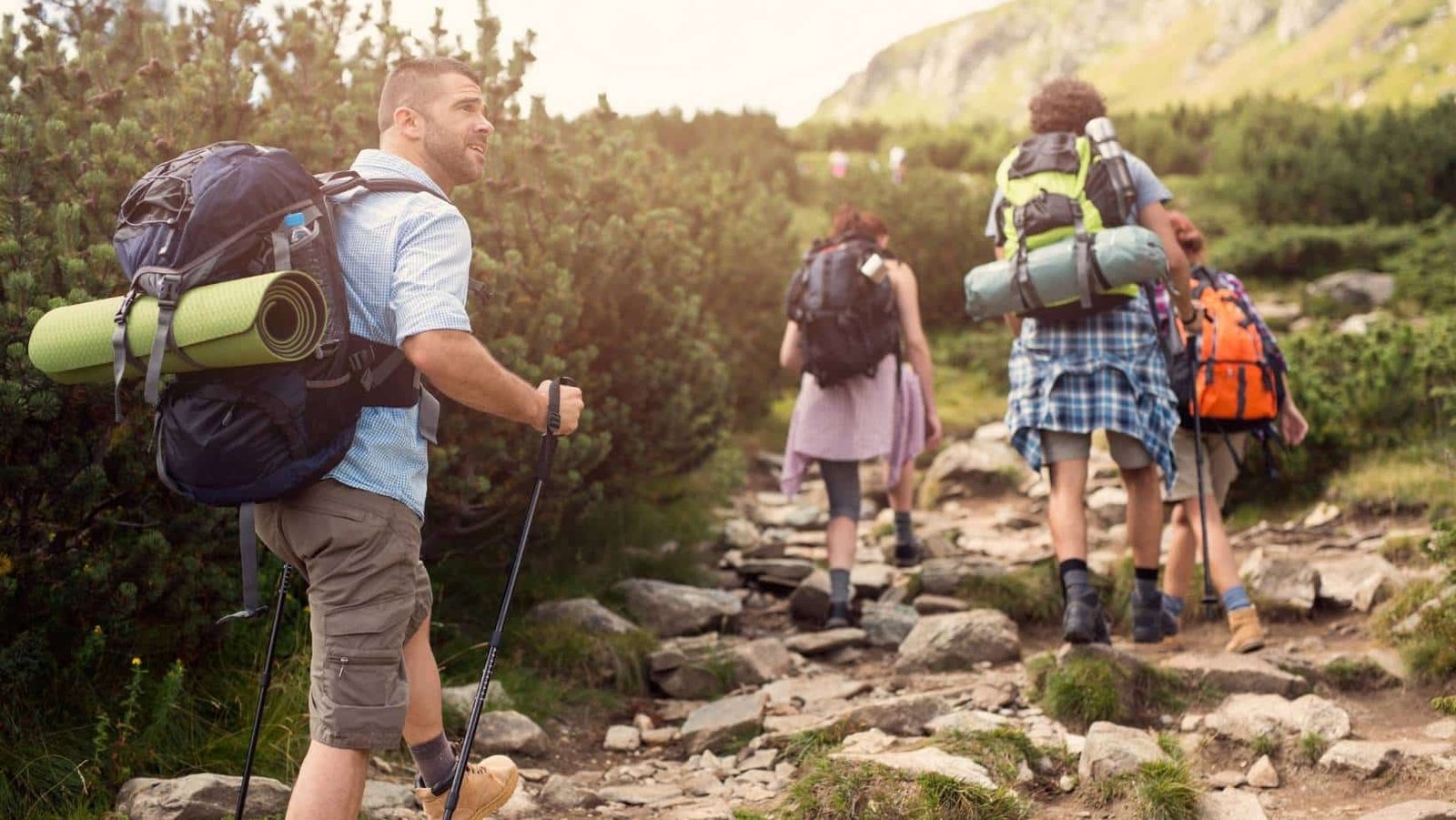 sendero del camino de santiago en primavera 1