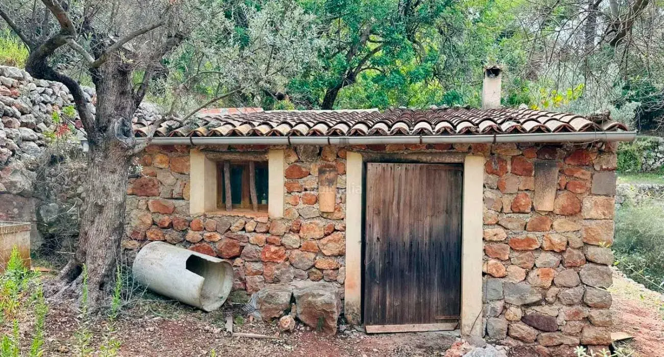terreno con caseta en paisaje mallorquin