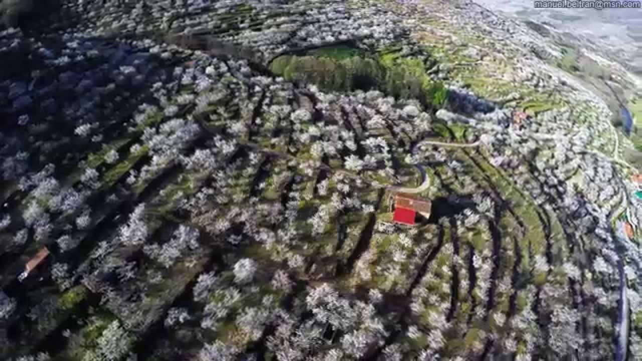 vista aerea del complejo roma en aldeanueva