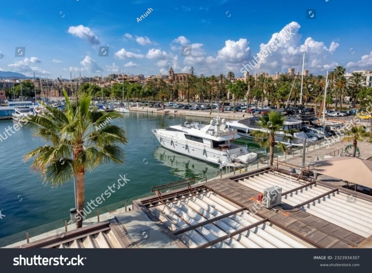 Dónde encontrar la mejor pensión en La Palma, El Puerto