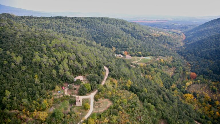 Dónde encontrar pisos en alquiler en Son Ferriol