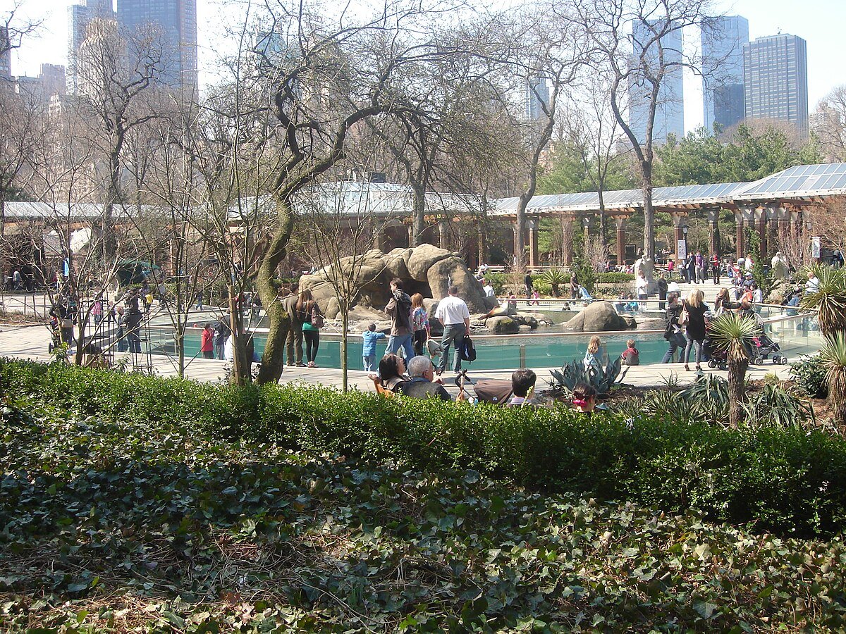 zoologico de central park en nueva york